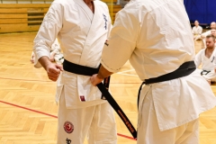 476864187_1418585232800475_6191837568986700611_n