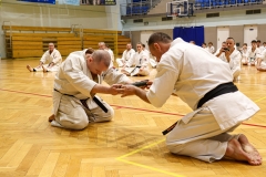 477123352_1418585649467100_7891100531819939312_n