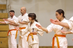 623300960_1722613685730960_4012339261187244890_n