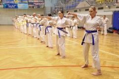 623301972_1722613382397657_6571239048878597406_n