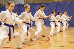 624671190_1722614735730855_1267255954695207831_n