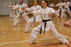 625016978_1722615702397425_1484836196676827106_n