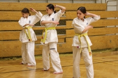 626050434_1722613772397618_7363749392986850013_n