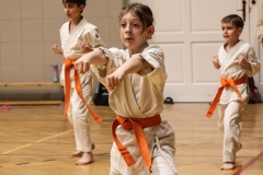 622390206_1721286175863711_6269783866232620343_n