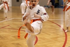 625237218_1721282255864103_2989199048720751579_n