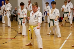 473037710_1394904868501845_111219904074072545_n