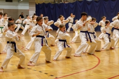 473273687_1394904815168517_2481458074167487277_n