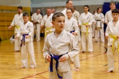 473370962_1394903555168643_3435569521232710498_n