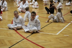 Egzamin-Karate-poczat-01-23-03