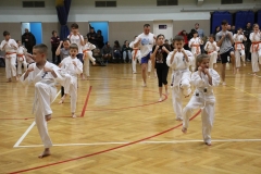 Egzamin-Karate-poczat-01-23-11