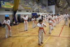 Egzamin-Karate-poczat-01-23-14