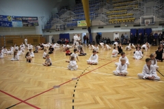 Egzamin-Karate-poczat-01-23-15