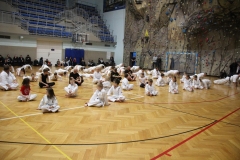 Egzamin-Karate-poczat-01-23-16