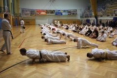 Egzamin-Karate-poczat-01-23-20