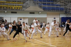Egzamin-Karate-poczat-01-23-22