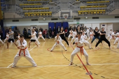 Egzamin-Karate-poczat-01-23-23
