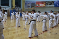 Egzamin-Karate-01-23-018