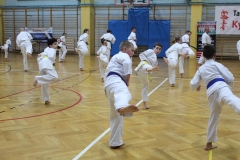Egzamin-Karate-01-23-033