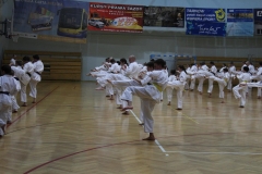 Egzamin-Karate-01-23-035