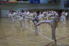 Egzamin-Karate-01-23-036