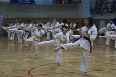 Egzamin-Karate-01-23-037