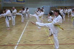 Egzamin-Karate-01-23-038