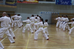 Egzamin-Karate-01-23-044