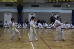 Egzamin-Karate-01-23-048