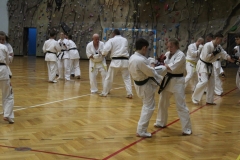 Egzamin-Karate-01-23-067