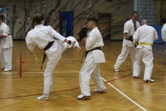 Egzamin-Karate-01-23-070