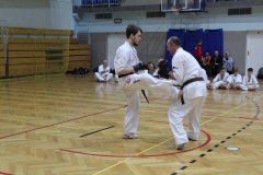 Egzamin-Karate-01-23-078