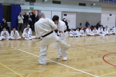 Egzamin-Karate-01-23-080