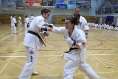 Egzamin-Karate-01-23-084