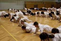 472690173_1394131181912547_6012873828422495971_n