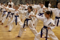 472978517_1394129611912704_2579004075306954657_n