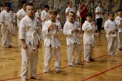 473277850_1394130411912624_7525201787949239839_n