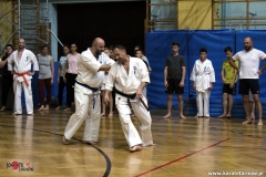 karate_old_01