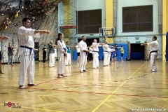 karate_old_10