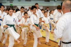 500050336_1506409170684747_535489720071340706_n