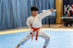 500272483_1507043233954674_5389230476982189459_n