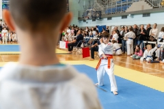 501048680_1507044580621206_7743022994896481559_n