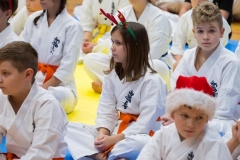 Mikolajki-Karate-22-021