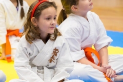 Mikolajki-Karate-22-069