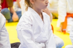 Mikolajki-Karate-22-070