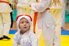 Mikolajki-Karate-22-111