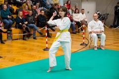 Mikolajki-Karate-22-201