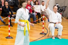 Mikolajki-Karate-22-202