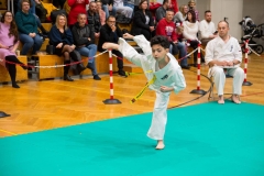 Mikolajki-Karate-22-203