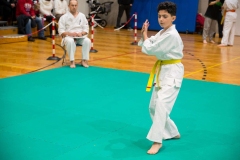 Mikolajki-Karate-22-204