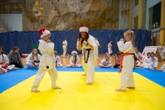 Mikolajki-Karate-22-205